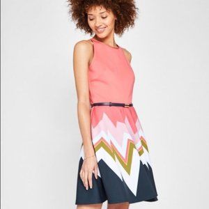 Ted Baker Aurelia Chevron Print Skater Dress